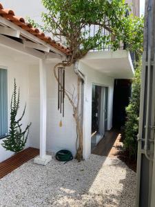 ein Haus mit einem Baum an der Seite in der Unterkunft Casa de férias in Balneário Camboriú