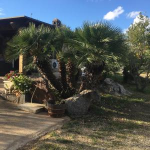 Φωτογραφία από το άλμπουμ του NicChia Turchese σε Orosei