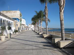 マリーナ・ディ・ラグーザにあるCasa Vacanze Le Roseのヤシの木が茂る海岸沿いの歩道