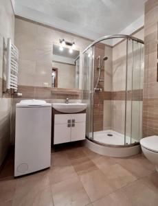 a bathroom with a shower and a sink and a toilet at Apartament Spacerowa in Grzybowo