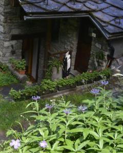 Afbeelding uit fotogalerij van Évasion d'Ermitage in Courmayeur