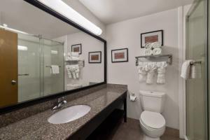 Koupelna v ubytování Comfort Inn & Suites Austin North Loop