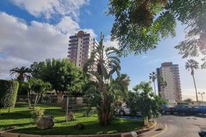 a palm tree in a park with buildings in the background at Club Paraiso in Adeje