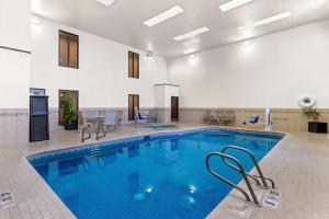 Bazén v ubytování Best Western Socorro Hotel & Suites nebo v jeho okolí