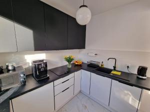 Η κουζίνα ή μικρή κουζίνα στο M&M Apartament Pine Tree House Zielona 3A