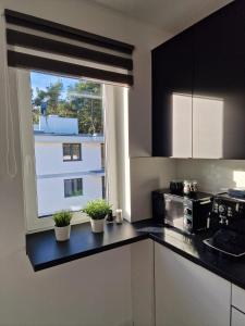 Η κουζίνα ή μικρή κουζίνα στο M&M Apartament Pine Tree House Zielona 3A