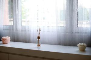 Fotografie z fotogalerie ubytování T2 cosy entre calme et proximité v destinaci Lingolsheim