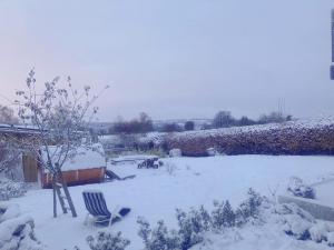 Un patio cubierto de nieve con dos sillas de jardín en Terrier Ovifat - Nature Jacuzzi & Sauna, en Ovifat
