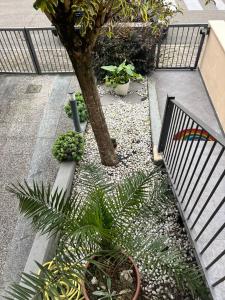 Zahrada ubytování B&B A Casa Mia