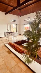 a living room with a pool table and a palm tree at Kitesurf Oasis Maracajaú in Maracajaú