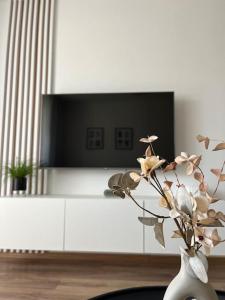 Μια τηλεόραση ή/και κέντρο ψυχαγωγίας στο Apartmán Mony