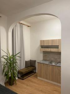 Kuchyň nebo kuchyňský kout v ubytování Apartmán Tržnice + 9 fotografií