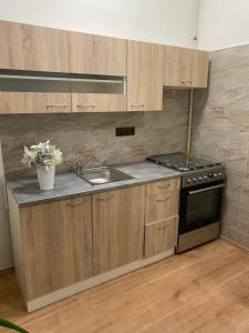 Kuchyň nebo kuchyňský kout v ubytování Apartmán Tržnice