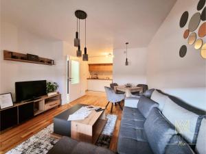 un salon avec un canapé et une table dans l'établissement Stan na dan-Apartman Mia, à Lukavica