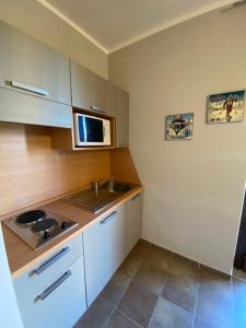 a small kitchen with a sink and a microwave at Appartamento Frabosa in Frabosa Soprana