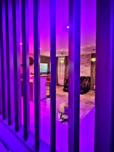 TV a/nebo společenská místnost v ubytování Le boudoir suite&spa