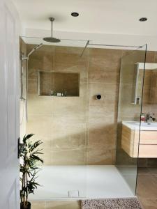 a glass shower in a bathroom with a sink at Alver House in Portsmouth +36 photos