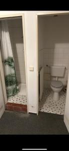 a bathroom with a toilet and a bath tub at Turp Residenz in Blomberg