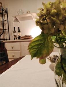 Köök või kööginurk majutusasutuses Šomin lagum - Guest house