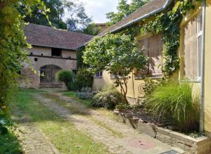 Zahrada ubytování Šomin lagum - Guest house