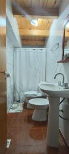 a bathroom with a sink and a toilet at La Cima HOSTERIA in El Chalten