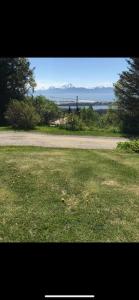 a view of a field of grass with a road at Homestead cabin in Homer