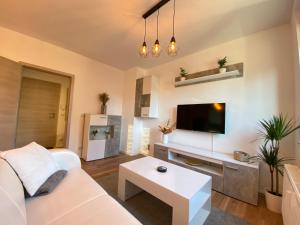 TV a/nebo společenská místnost v ubytování HOCHWERTIGE Ferienwohnung mit 7qm Balkon, Netflix, Kaffeeautomat, RainShower Bad