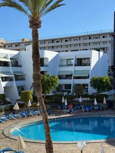 a hotel with a palm tree in front of a building at Apartamento Optimist Playa de Las Americas in Playa de las Americas