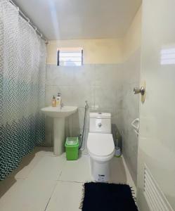 a bathroom with a toilet and a sink at Two Bedrooms Cottage House Beach Front Php 3,500 per night in Caridad