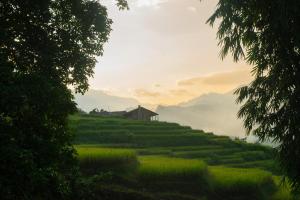 a field of grass with a house on the side at Sapa Ta Van Desi House - Mountain View & Hiking Tours in Sapa