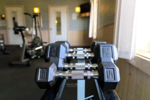 Fitness centrum a/nebo fitness zařízení v ubytování Mountain Host Motor Inn