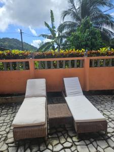 Fotografia z galérie ubytovania The Jungle Escape Apartment 02 v destinácii Soufrière