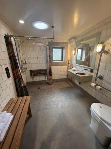 un bagno con un water, un lavandino e uno specchio di The Headwaters Eco Lodge a Glenorchy