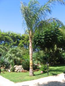 Ein Garten an der Unterkunft Villa Santa Margherita