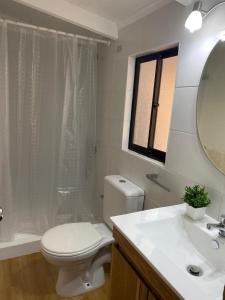 a bathroom with a toilet and a sink and a mirror at Cabaña Quillón El Campito in Quillón
