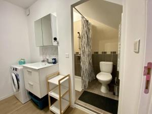 a small bathroom with a toilet and a sink at T2 charmant à Cambo-les-Bains, proche Thermes, WIFI, 2 couchages - FR-1-495-146 in Cambo-les-Bains
