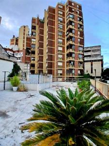 a palm tree in front of a tall building at Habitación privada zona Centro, Tribunales y Patio Olmos in Cordoba