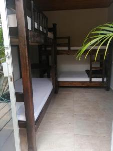 Katil atau katil-katil dalam bilik di Hostal Hilltop Sapzurro