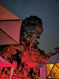 Aed väljaspool majutusasutust Elementium Glamping