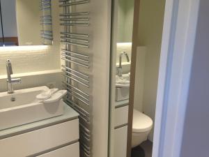 La salle de bains est pourvue d'un lavabo, de toilettes et d'un miroir. dans l'établissement Carouge Loft Apartment, à Genève