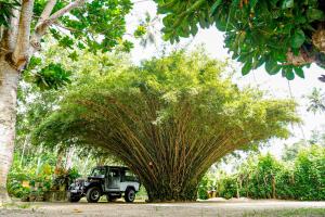 a green truck parked next to a large tree at Hiri Point Villa in Dickwella