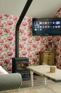 TV a/nebo společenská místnost v ubytování Beleef het Noorden