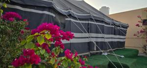 NMY Farm1外面的花园