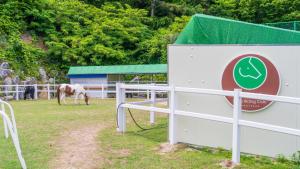 Fotografie z fotogalerie ubytování Tongyoung Sandeulhae Healling Pension v destinaci Tchongjong