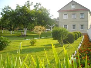 een groot huis met een tuin met een grasveld bij Agroturystyka Krysia Pilszcz in Pilszcz