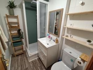 a bathroom with a toilet and a sink and a shower at Bonito y luminoso apartamento con wifi y chimenea Aizú - Villanúa in Villanúa +20 photos