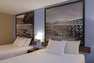 Super 8 by Wyndham Kamloops On The Hill客房内的一张或多张床位