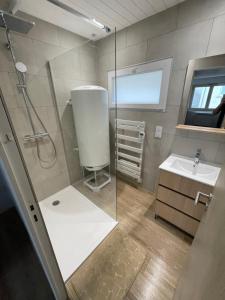 a bathroom with a shower and a sink at Appartement 3 chambres climatisé 100m2 in Chaussin