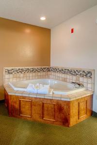 Fotografie z fotogalerie ubytování Park Tower Inn v destinaci Pigeon Forge