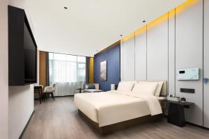 拉萨拉萨布达拉宫广场亚朵酒店的一间带床和电视的酒店房间